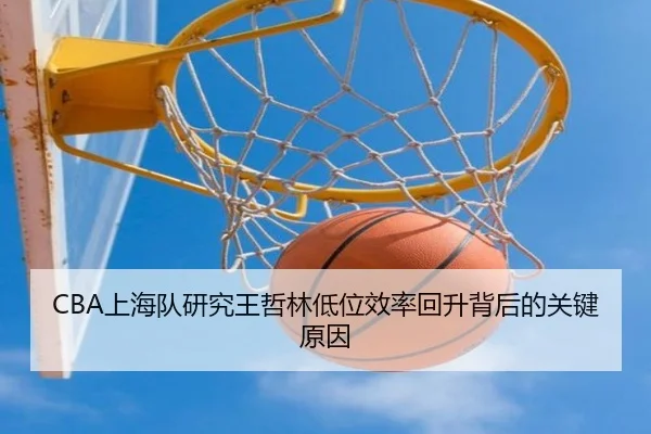 CBA上海队研究王哲林低位效率回升背后的关键原因 | kaiyun